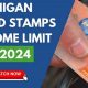 Food Stamp Income Limit Michigan | Old Stamp Collecting Guide: Discover, Value & Preserve Vintage Stamps