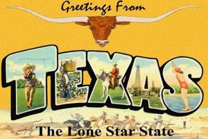 Vintage Greetings From Texas Postcard Designs Old Stamp Collecting Guide: Discover, Value & Preserve Vintage Stamps Vintage Greetings From Texas Postcard Designs | Old Stamp Collecting Guide: Discover, Value & Preserve Vintage Stamps