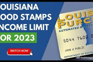 Louisiana Food Stamp Amount Old Stamp Collecting Guide: Discover, Value & Preserve Vintage Stamps Louisiana Food Stamp Amount | Old Stamp Collecting Guide: Discover, Value & Preserve Vintage Stamps