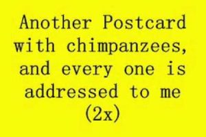 Barenaked Ladies: Another Postcard Lyrics & Meaning | Old Stamp Collecting Guide: Discover, Value & Preserve Vintage Stamps