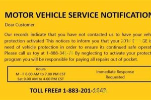 Vehicle Notification Postcards: A Guide | Old Stamp Collecting Guide: Discover, Value & Preserve Vintage Stamps