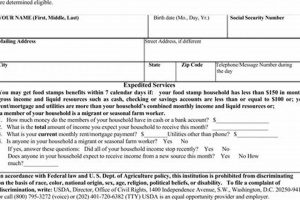 Mobile Al Food Stamp Office Phone Number Old Stamp Collecting Guide: Discover, Value & Preserve Vintage Stamps Mobile Al Food Stamp Office Phone Number | Old Stamp Collecting Guide: Discover, Value & Preserve Vintage Stamps
