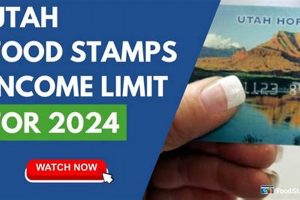 Utah Food Stamp Program Guide &amp; Eligibility | Old Stamp Collecting Guide: Discover, Value & Preserve Vintage Stamps