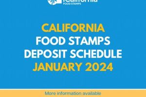 Your State's Food Stamp Schedule & Benefits | Old Stamp Collecting Guide: Discover, Value & Preserve Vintage Stamps