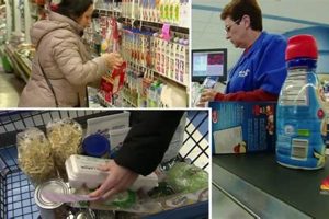 Are Food Stamp Benefits Being Cut? 2024 Updates | Old Stamp Collecting Guide: Discover, Value & Preserve Vintage Stamps