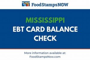 Food Stamp Balance Ms | Old Stamp Collecting Guide: Discover, Value & Preserve Vintage Stamps