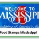 Mississippi Food Stamp Guide &amp; Application | Old Stamp Collecting Guide: Discover, Value & Preserve Vintage Stamps