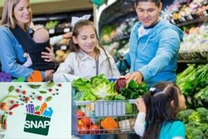 SNAP Payment Schedule 2025: State-by-State Guide Old Stamp Collecting Guide: Discover, Value & Preserve Vintage Stamps SNAP Payment Schedule 2025: State-by-State Guide | Old Stamp Collecting Guide: Discover, Value & Preserve Vintage Stamps