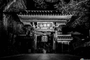 Vintage Sendai Postcards: Stunning Black & White | Old Stamp Collecting Guide: Discover, Value & Preserve Vintage Stamps