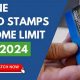 Maine Food Stamp Guide &amp; Application | Old Stamp Collecting Guide: Discover, Value & Preserve Vintage Stamps