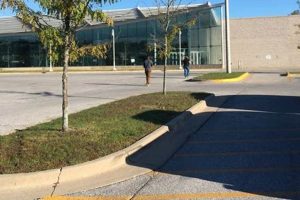 Food Stamp Office Des Moines | Old Stamp Collecting Guide: Discover, Value & Preserve Vintage Stamps