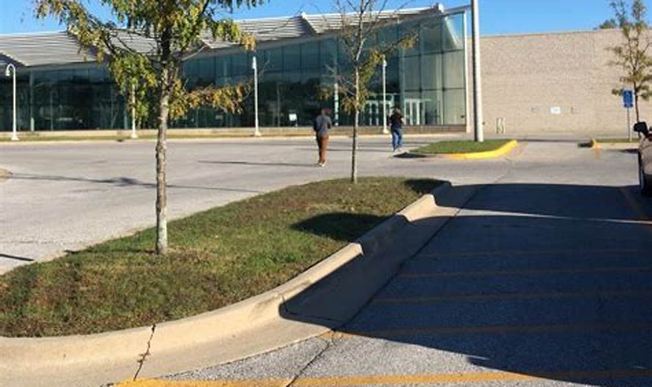 Food Stamp Office Des Moines | Old Stamp Collecting Guide: Discover, Value & Preserve Vintage Stamps