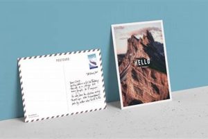 Design & Print Your Own Postcards Easily | Old Stamp Collecting Guide: Discover, Value & Preserve Vintage Stamps