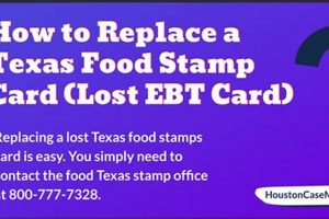 Lost or Stolen Food Stamp Card? Act Now! | Old Stamp Collecting Guide: Discover, Value & Preserve Vintage Stamps