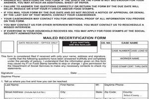 Food Stamp Recertification Form Sc | Old Stamp Collecting Guide: Discover, Value & Preserve Vintage Stamps