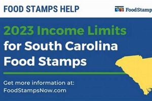 SC Food Stamps: Your Guide &amp; Resources | Old Stamp Collecting Guide: Discover, Value & Preserve Vintage Stamps