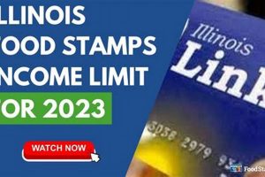 Food Stamp Number Illinois | Old Stamp Collecting Guide: Discover, Value & Preserve Vintage Stamps