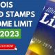 Food Stamp Number Illinois | Old Stamp Collecting Guide: Discover, Value & Preserve Vintage Stamps