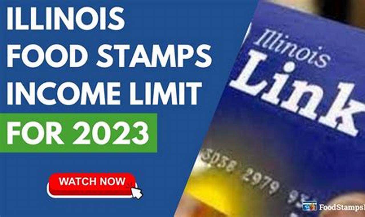 Food Stamp Number Illinois | Old Stamp Collecting Guide: Discover, Value & Preserve Vintage Stamps