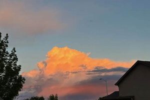 Daily Postcard Ideas & Inspiration | Old Stamp Collecting Guide: Discover, Value & Preserve Vintage Stamps