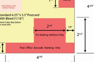 Mastering 5.5 x 8.5 Postcard Mailing Rules | Old Stamp Collecting Guide: Discover, Value & Preserve Vintage Stamps