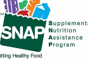 Find Your Houma Food Stamp Office Location | Old Stamp Collecting Guide: Discover, Value & Preserve Vintage Stamps