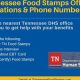Find Cookeville Food Stamp Office Locations &amp; Info | Old Stamp Collecting Guide: Discover, Value & Preserve Vintage Stamps