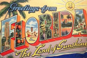 Classic Vintage Postcards of Florida's Charm | Old Stamp Collecting Guide: Discover, Value & Preserve Vintage Stamps