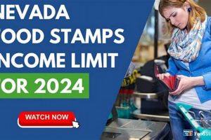 Nevada Food Stamp Income Limits | Old Stamp Collecting Guide: Discover, Value & Preserve Vintage Stamps