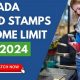 Nevada Food Stamp Income Limits | Old Stamp Collecting Guide: Discover, Value & Preserve Vintage Stamps