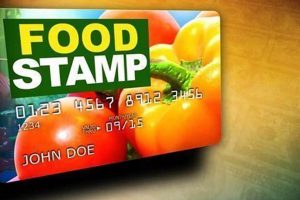 Find Your Local Hernando Food Stamp Office & Apply | Old Stamp Collecting Guide: Discover, Value & Preserve Vintage Stamps