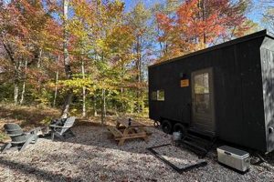 Postcard Cabins Brown County | Old Stamp Collecting Guide: Discover, Value & Preserve Vintage Stamps