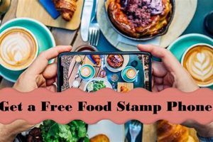 Free Food Stamp Phone Ky | Old Stamp Collecting Guide: Discover, Value & Preserve Vintage Stamps