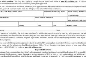 PA Food Stamp Application: Your Complete Guide | Old Stamp Collecting Guide: Discover, Value & Preserve Vintage Stamps