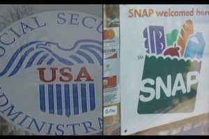 Dekalb County Food Stamp Office Phone Number | Old Stamp Collecting Guide: Discover, Value & Preserve Vintage Stamps