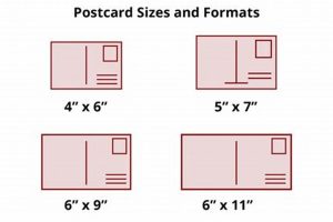 Premium High Quality Postcard Printing Services | Old Stamp Collecting Guide: Discover, Value & Preserve Vintage Stamps