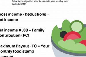 Your Food Stamp Benefits: Arrival Guide | Old Stamp Collecting Guide: Discover, Value & Preserve Vintage Stamps