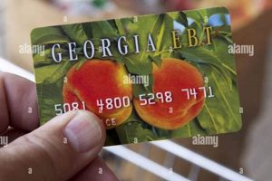 Lost or Damaged Georgia EBT Card? Replace It Now | Old Stamp Collecting Guide: Discover, Value & Preserve Vintage Stamps