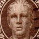 Historic Nathan Hale 1/2c Stamp Value & Price Guide | Old Stamp Collecting Guide: Discover, Value & Preserve Vintage Stamps