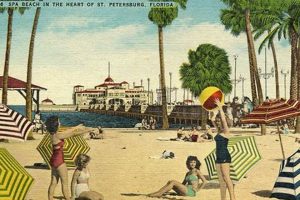 Vintage Postcards in St. Pete: A Collector's Guide | Old Stamp Collecting Guide: Discover, Value & Preserve Vintage Stamps