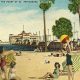 Vintage Postcards in St. Pete: A Collector's Guide | Old Stamp Collecting Guide: Discover, Value & Preserve Vintage Stamps