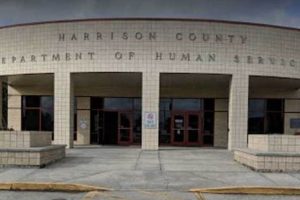 Gulfport Food Stamp Office: Your Guide &amp; Assistance | Old Stamp Collecting Guide: Discover, Value & Preserve Vintage Stamps