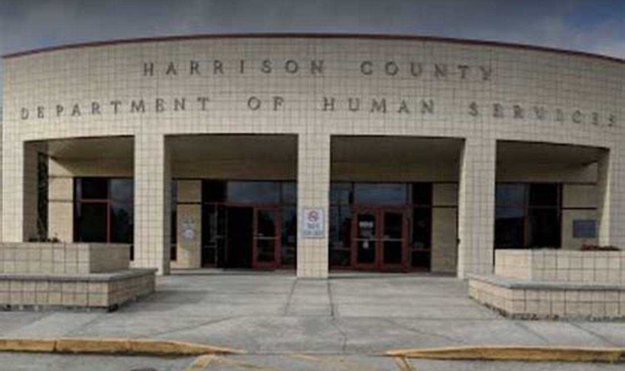 Gulfport Food Stamp Office: Your Guide &amp; Assistance | Old Stamp Collecting Guide: Discover, Value & Preserve Vintage Stamps