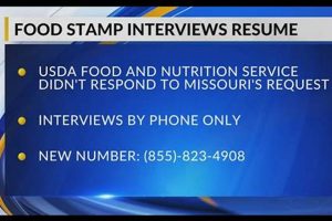 Find Your MO Food Stamp Interview Number Fast | Old Stamp Collecting Guide: Discover, Value & Preserve Vintage Stamps
