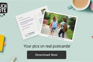 Send Personalized Touchnote Postcards Worldwide | Old Stamp Collecting Guide: Discover, Value & Preserve Vintage Stamps