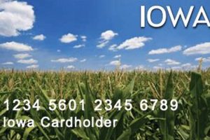Your Iowa Food Stamp Card Guide & FAQs | Old Stamp Collecting Guide: Discover, Value & Preserve Vintage Stamps