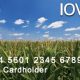Your Iowa Food Stamp Card Guide & FAQs | Old Stamp Collecting Guide: Discover, Value & Preserve Vintage Stamps