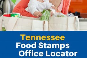 Tennessee Food Stamp Customer Service Number | Old Stamp Collecting Guide: Discover, Value & Preserve Vintage Stamps