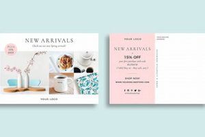 Postcard Marketing Examples | Old Stamp Collecting Guide: Discover, Value & Preserve Vintage Stamps