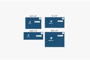 EDDM Postcard Sizes: Guide for Businesses | Old Stamp Collecting Guide: Discover, Value & Preserve Vintage Stamps